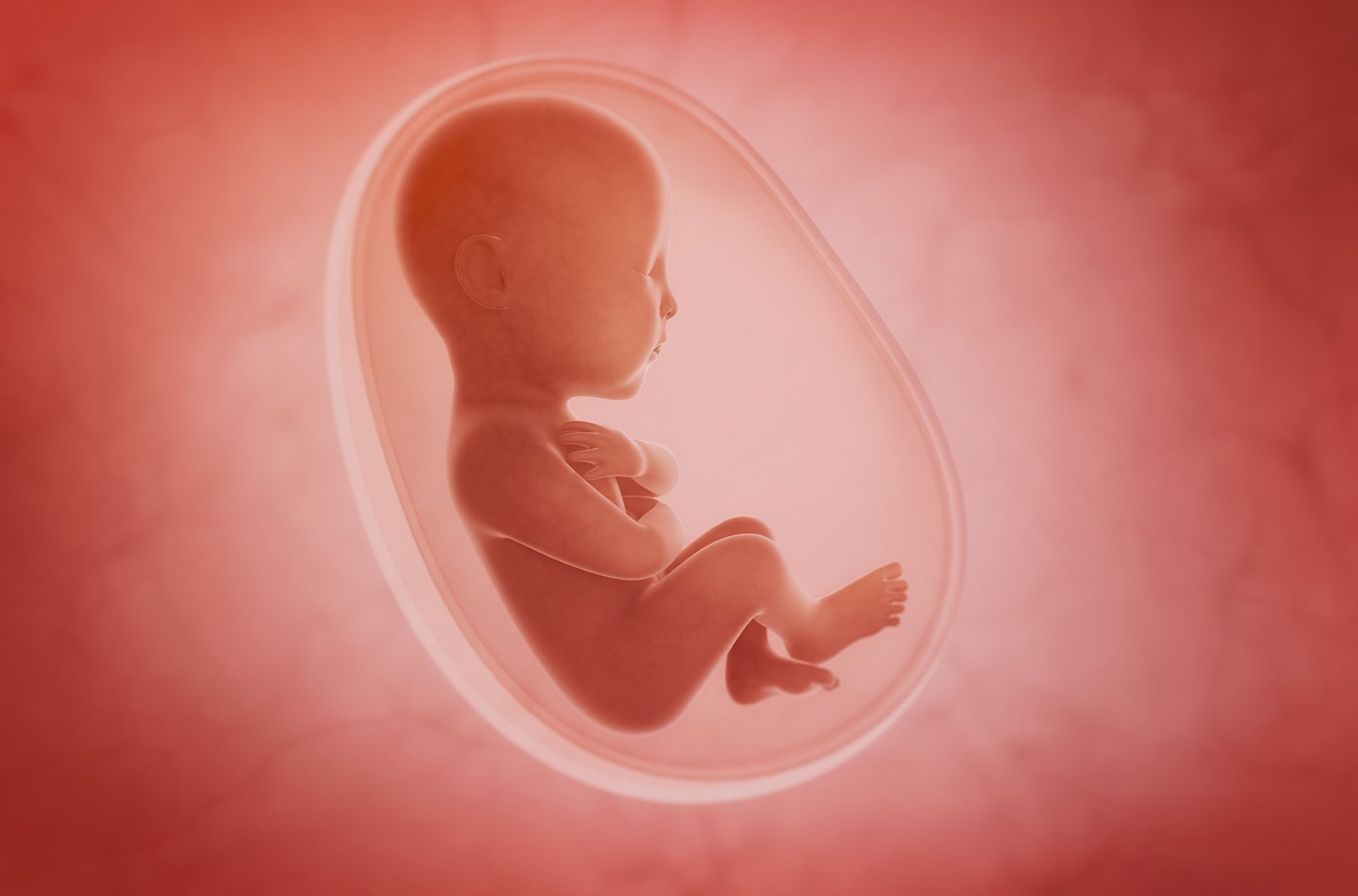 New Phase II Data Suggest Maternal Nipocalimab Does Not Disrupt Infant Immune Development in Severe HDFN | Applied Clinical Trials Online